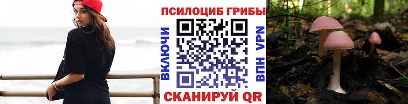 Псилоцибиновые грибы GOLDEN TEACHER  Иноземцево 