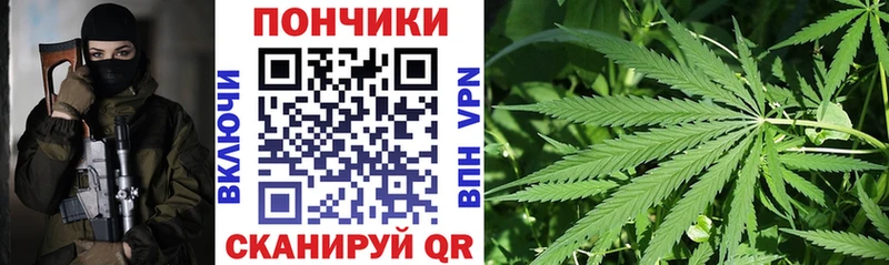 что такое   Иноземцево  Бошки марихуана план 